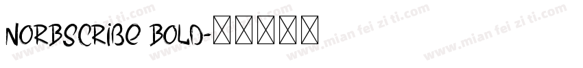 NorBScribe Bold字体转换